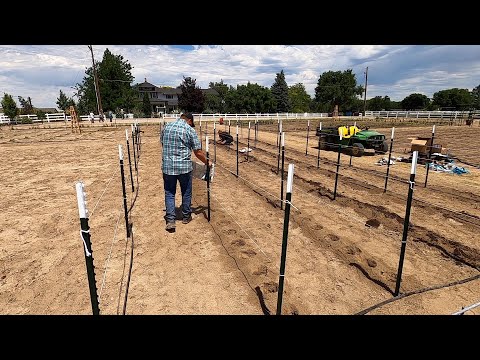 image-How do you plant dahlia beds?