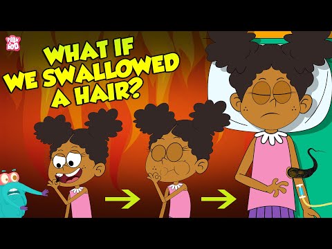 , title : 'What If We Swallowed A Hair? | Hairs In Our Stomach | The Dr Binocs Show | Peekaboo Kidz'