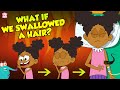 What If We Swallowed A Hair? | Hairs In Our Stomach | The Dr Binocs Show | Peekaboo Kidz