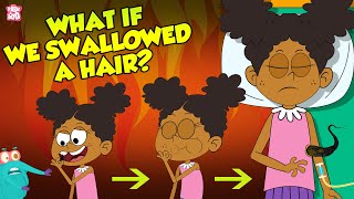 What If We Swallowed A Hair?  Hairs In Our Stomach