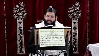 זבחים דף מ"ג ע''ב ¤ הרב נתנאל אברז'ל ¤ בית הכנסת "בית מרדכי" (מוסדות תורת דוד) - התמונה מוצגת ישירות מתוך אתר האינטרנט יוטיוב. זכויות היוצרים בתמונה שייכות ליוצרה. קישור קרדיט למקור התוכן נמצא בתוך דף הסרטון