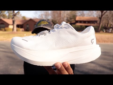 DYNAFISH XIAONIAN - Evo SL & Megablast Killer?