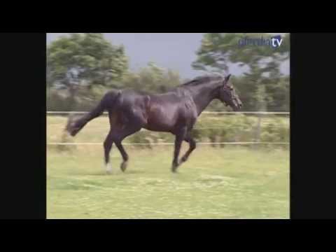 download lagu mp3 mp4 Cor De La Bryere, download lagu Cor De La Bryere gratis, unduh video klip Cor De La Bryere