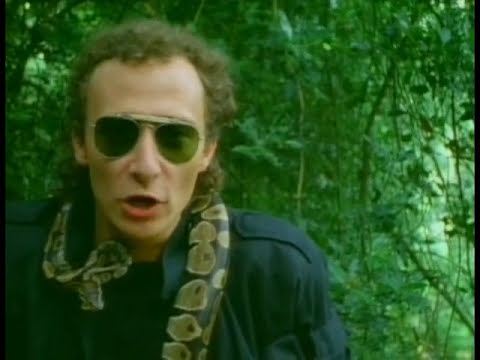 Graham Parker - Life Gets Better (1983)