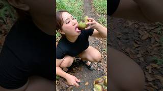Download lagu dapet buah lontar di kebun mp3