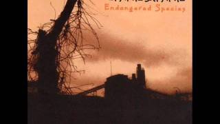 Lynyrd Skynyrd - Sweet Home Alabama.wmv