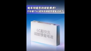 Re: [新聞] 日本2024年EV銷量：比亞迪首超豐田