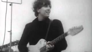 THE HOLLIES   I Can&#39;t Let Go