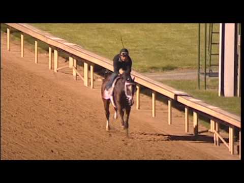 Dreaming of Julia 427