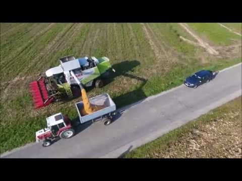 Mais-Ernte Wallner 2016