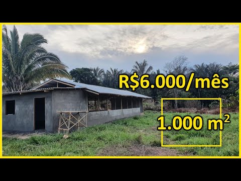 , title : 'R$6.000/mês em 1.000 m² como ganhar dinheiro em sítio pequeno'
