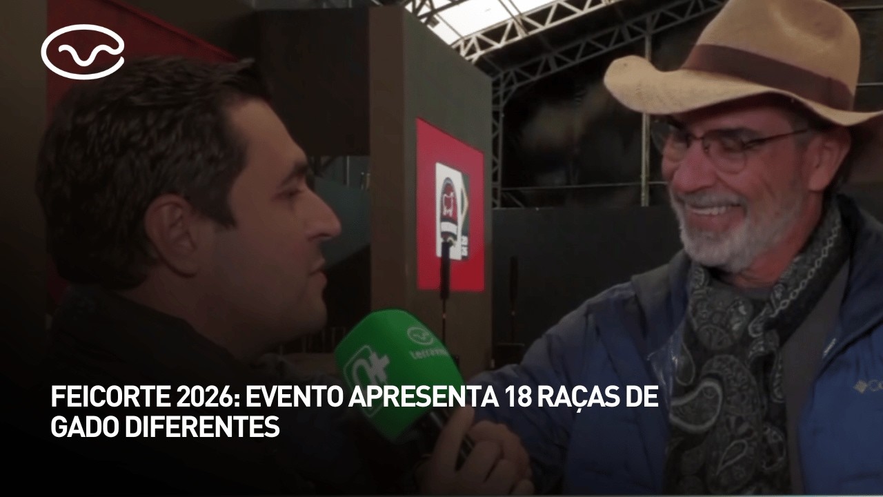 Feicorte 2026: evento apresenta 18 raças de gado diferentes