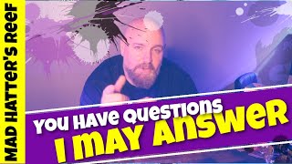 Mad Hatter's Reef Q and A