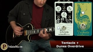 Earthquaker Devices Tentacle