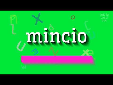 How to say "mincio"! (High Quality Voices)