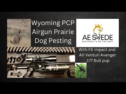 Long range airgun prairie dog hunt .25 FX Impact first 1/2 then Air Venturi Avenger .177 second 1/2