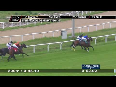 201025 c02 GREAT SPIRIT (BRZ)