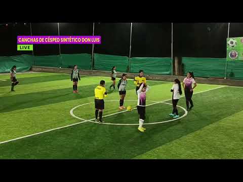 Fénix vs Abilex Final Mujeres Cancha sintetica Don Luis Tisaleo Tungurahua Ecu🇪🇨⚽️😃👍