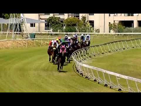 NEXUS - 2020 PENINSULA HANDICAP (Gr2)