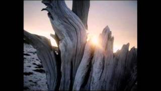 Novembre: Memoria Stoica / Vetro