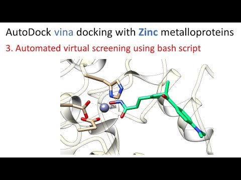 3. Automated virtual screening using bash script | AutoDock vina docking with Zinc metalloproteins