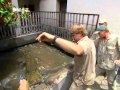 Crocodile Hunter Panzerechsen In Not 3 4