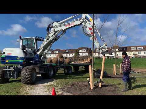 Zeldenrijk Groenvoorziening | Aanplant nieuwe bomen Ouderkerkerplas