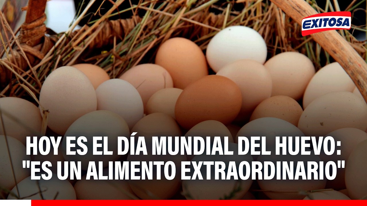 🔴🔵 Día Mundial del Huevo: Asociación Peruana de Avicultura destaca consumo de huevos en Perú