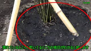 https://www.youtube.com/watch?v=nNBsnyLj474