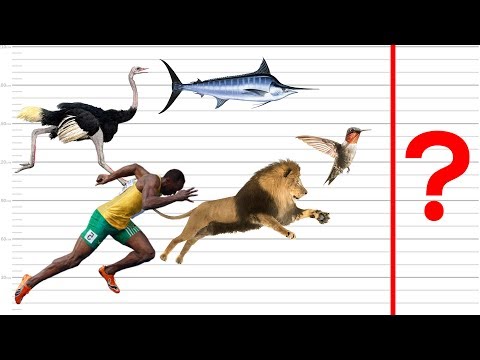 Tag: top - strona 1 - Sadol.pl