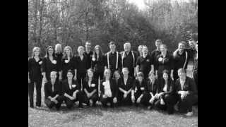 Singsucht - Ars Musica Ochtendung; Ein Vogel wollte Hochzeit machen, Satz: Volker Wangenheim