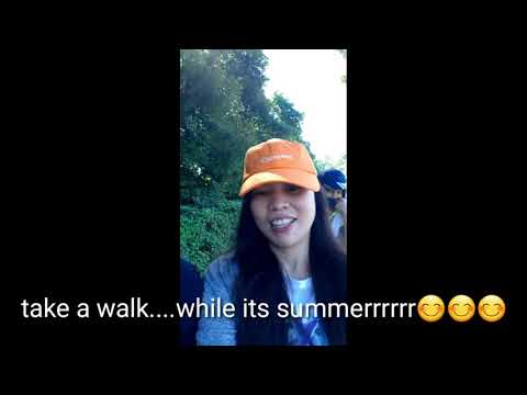 TAKE A WALK IN  UMAMI PARK/KNEE LEE