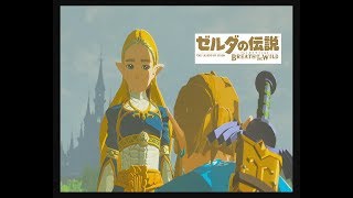 【実況】方向音痴が駆ける！【ゼルダの伝説ブレスオブザワイルド】＃37