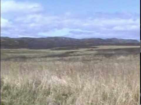 Alaska's Big Game - Alaska Bear Hunting with Gary Butch King - Part 1 Bear Attack