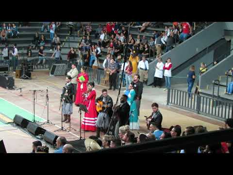 Musical CTG Campo dos Bugres Enart 2017   Entrada