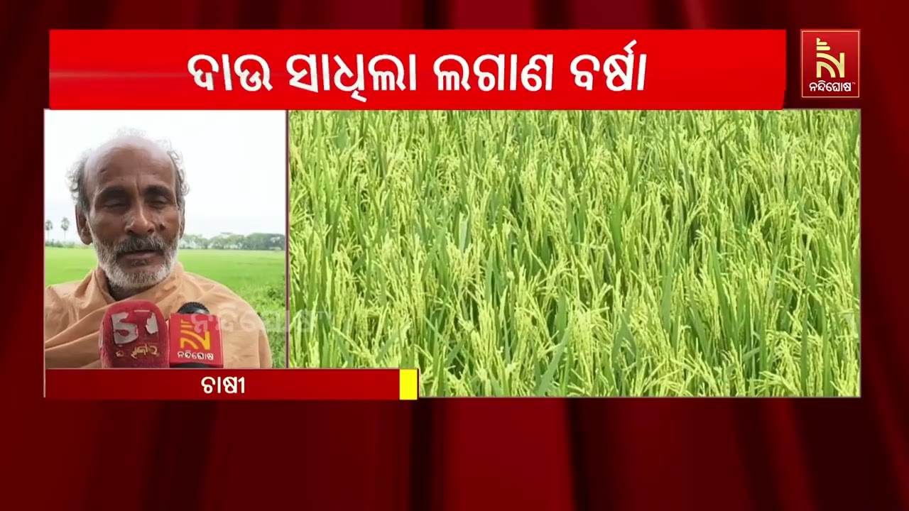 ଲଗାଣ ବର୍ଷାକୁ ଧାନ ଚାଷକୁ ପୋକ ଦାଉ । କାକଟପୁର ଓ ଅସ୍ତରଙ୍ଗ ?