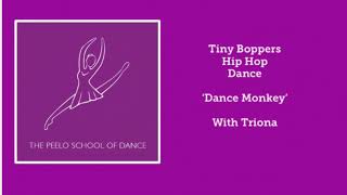 Tiny Boppers ‘Dance Monkey’ with Triona