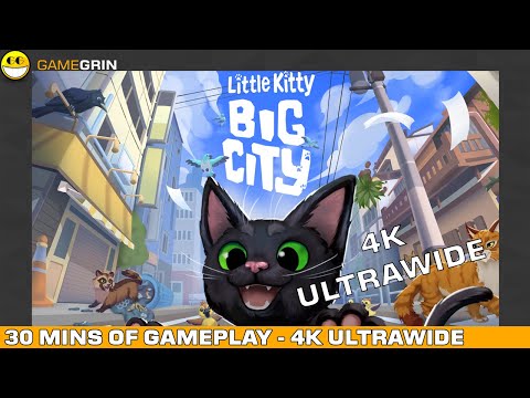 Over 30 Minutes of Little Kitty, Big City Gameplay