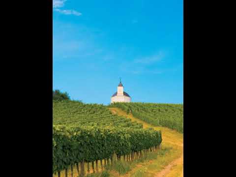 MI, MAGYAROK - „Nektárt csepegtettél” - A Tokaji történelmi borvidék kultúrtája