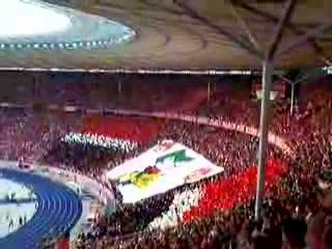DFB Pokalfinale 2007 Nürnberg - Stuttgart
