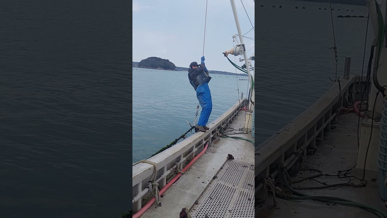 海上ターザンチャレンジ！