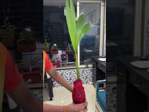 🙏 God is great 🙏                   #viju s