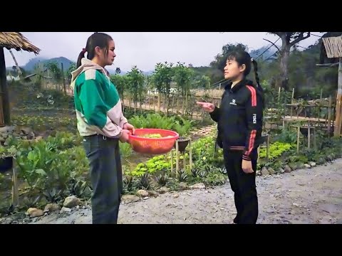 LUYEN's ex-girlfriend came to find VONG again and criticized her