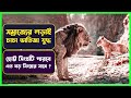 সিংহ যখন সিংহের শত্রু 🙄 The Lion king New Movie Explained in Bangla |  Movie revi