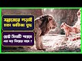 সিংহ যখন সিংহের শত্রু The Lion King New Movie Explained In Bangl