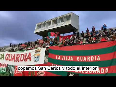 Y de maldonado te vengo a alentar || La vieja guardia || hinchada deportivo maldonado