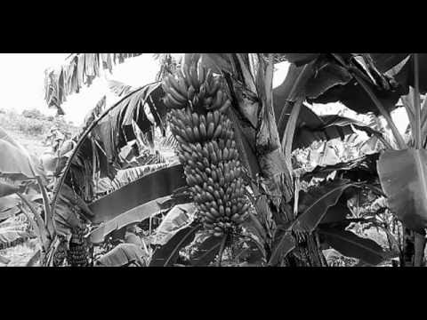 Kijyambere (+lyrics) - François Nkurunziza - Rwanda