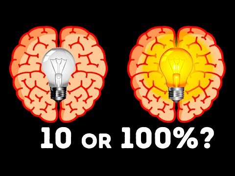 What If You Knew Absolutely Everything in the World