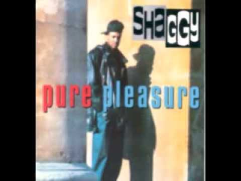 download lagu mp3 mp4 Shaggy It Bun Me, download lagu Shaggy It Bun Me gratis, unduh video klip Shaggy It Bun Me