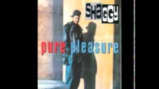 Shaggy -  It Bun Me